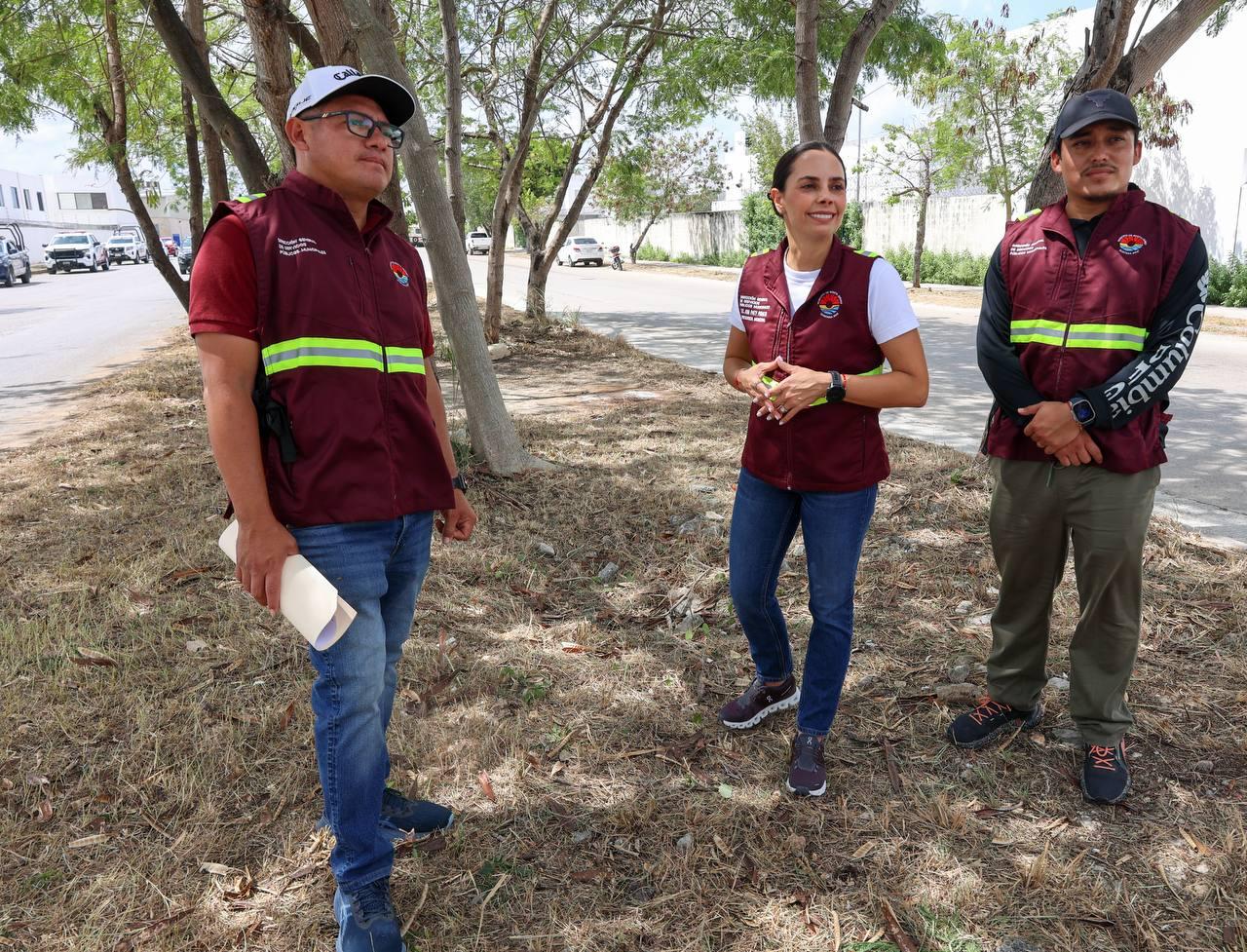 uploads/6/32/01 (343).Jpg